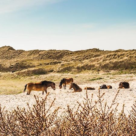 De Bollenschuur Villa Egmond aan Zee Exteriör bild