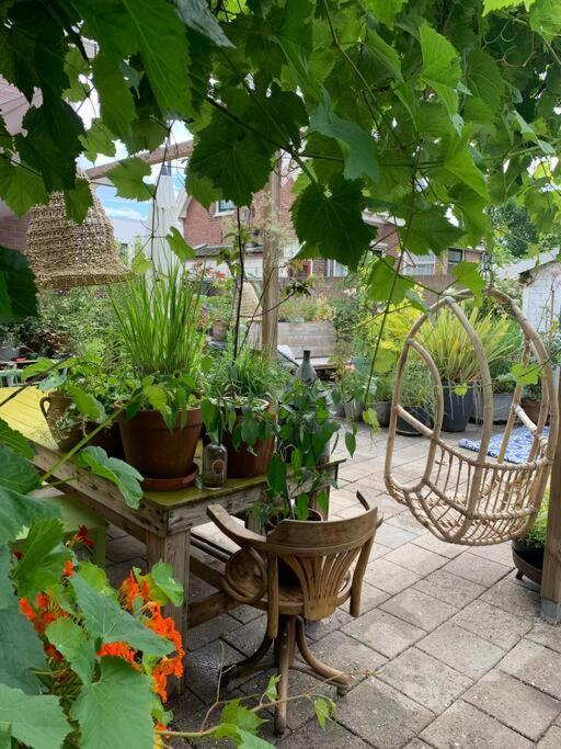 De Bollenschuur Villa Egmond aan Zee Exteriör bild