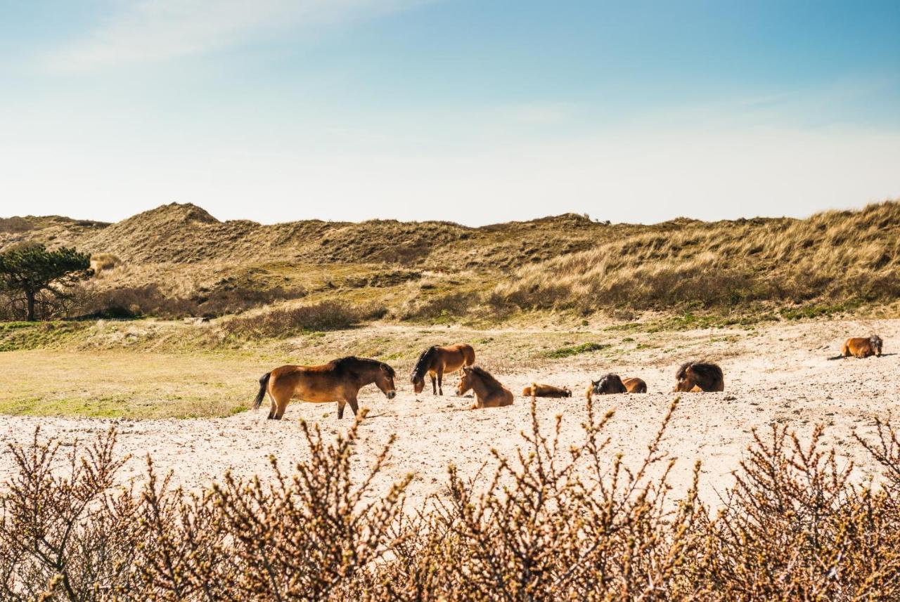 De Bollenschuur Villa Egmond aan Zee Exteriör bild